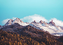 天天盈球即时比分直播-fengyue巴德乌龙大招救下Zika兰博，WBG打出二换四