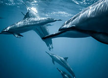 九游登录入口：开启游戏世界的新门票